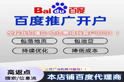 搜索引擎营销（SEM）在移动端的推广案例